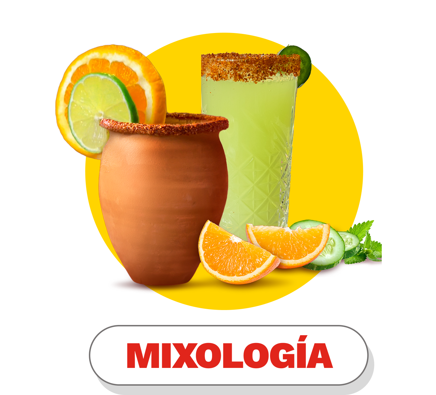 Banner-bannerMixologia-desktop-01