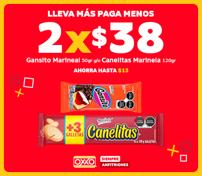 Promoción Gansito